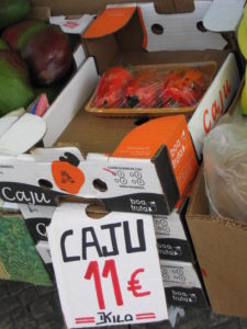 Photo of cashew fruits.