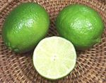 Persian limes